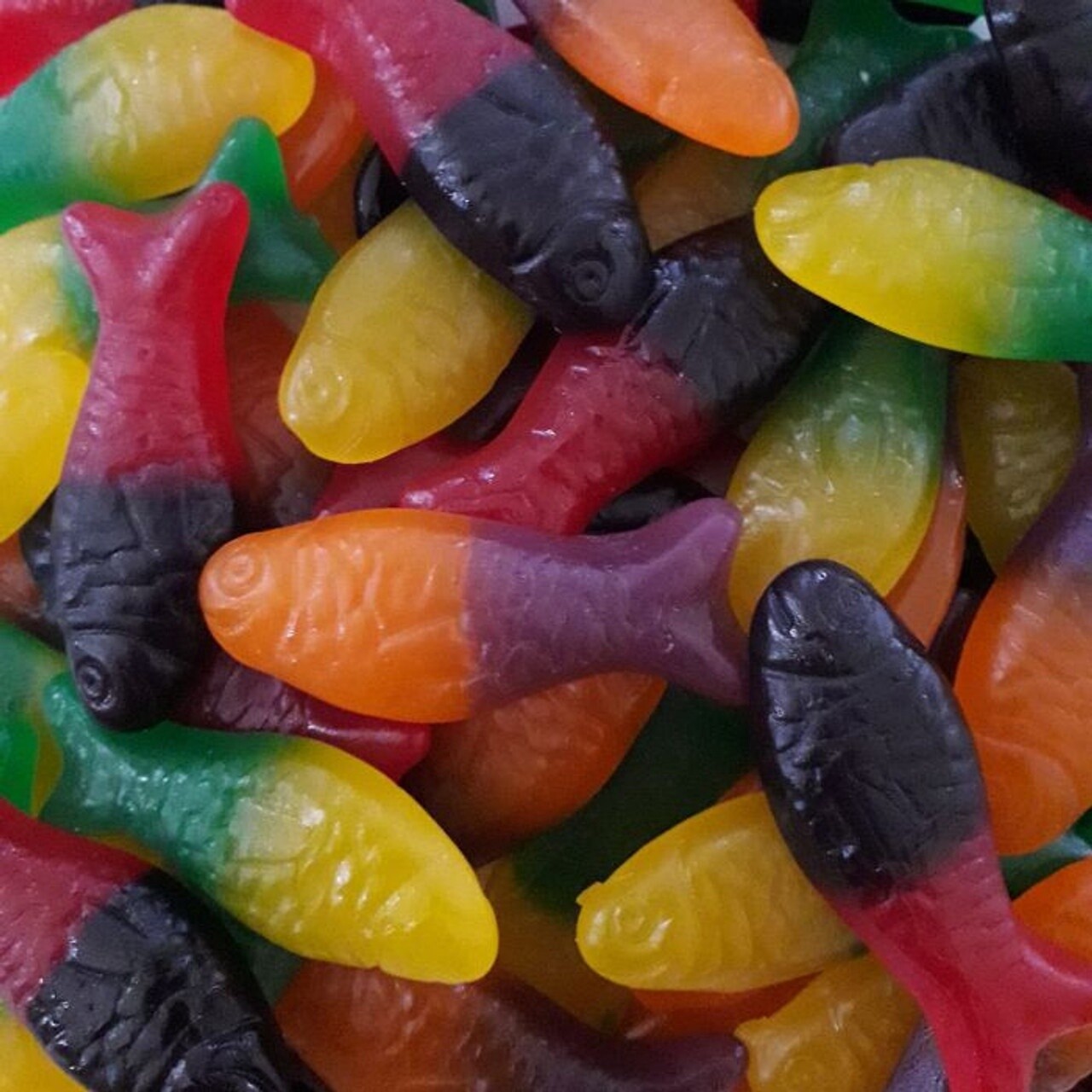 Colourful Fish