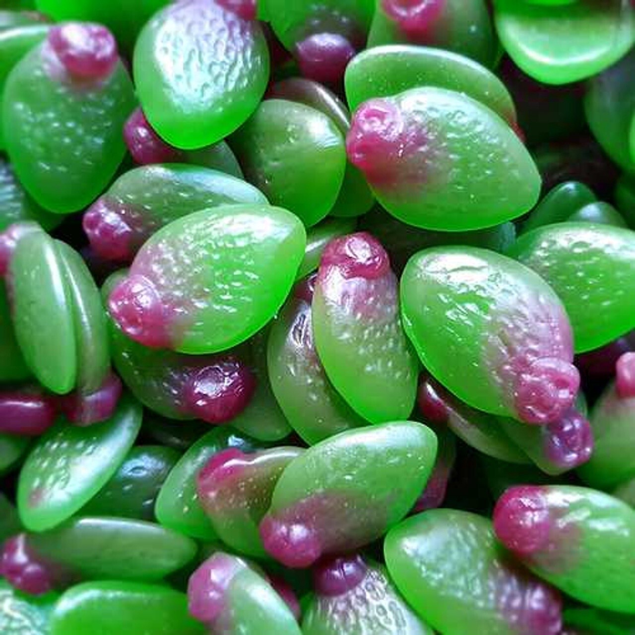 Sour Feijoas (NZ)