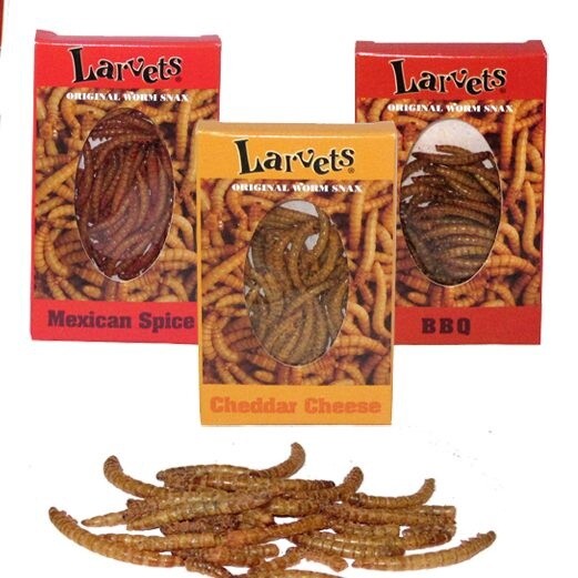Larvets Worm Snax 1.9g