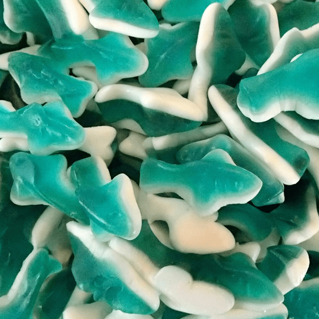 Blue Shark Gummies (Lolliland), Size: 150g