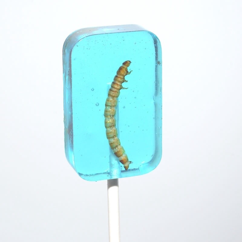 Hotlix Worm Suckers 31g