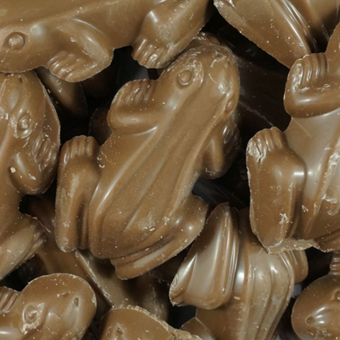 Chocolate Frogs (Bull Frogs) - Milk Choc (ABF)