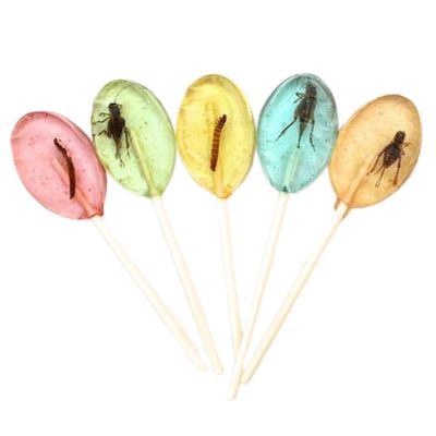 BugBites Edible Insect Lollipop 15g