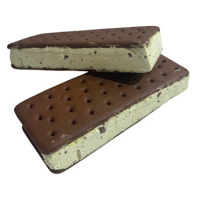 Freeze Dried Ice-Cream - Choc Mint Sandwich