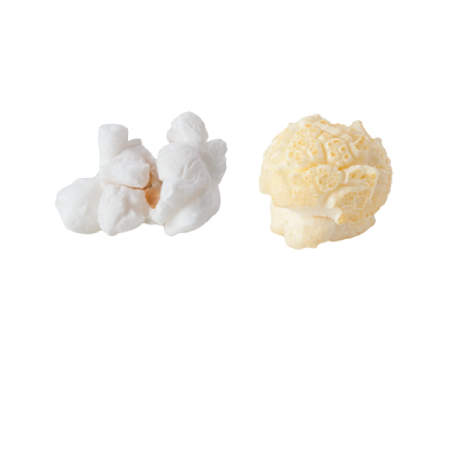 Popcorn Kernels - Butterfly