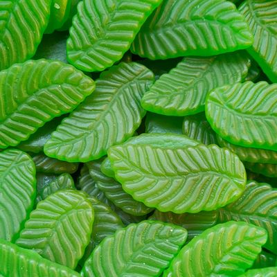 Spearmint Leaves 90g (NZ)