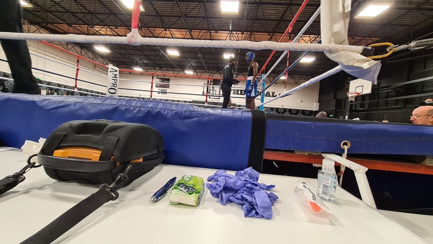 Introduction to the ringside doctor role