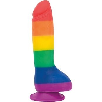 JUSTIN REGENBOOG