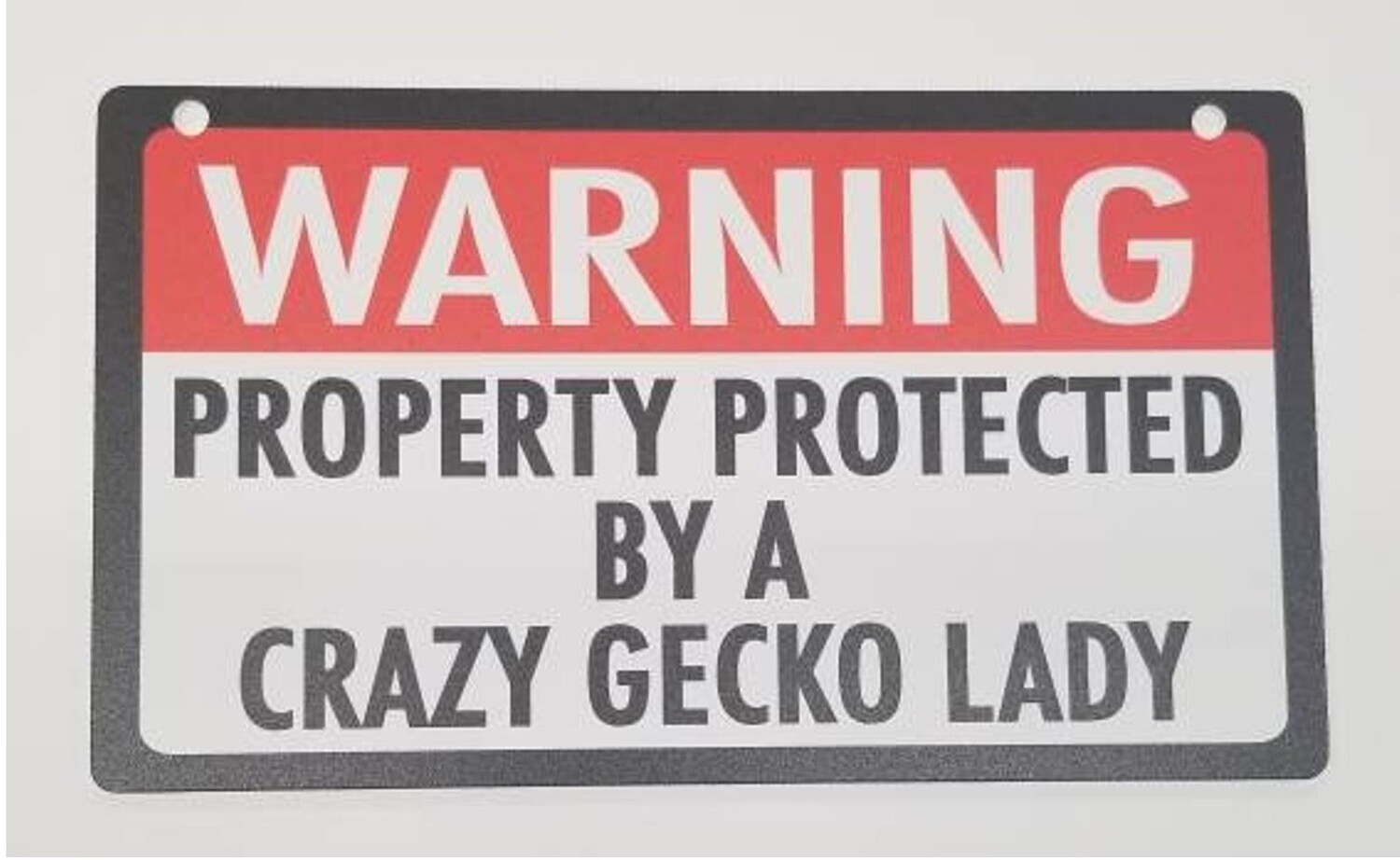 Warning Sign - Property Protected By Crazy Gecko Lady