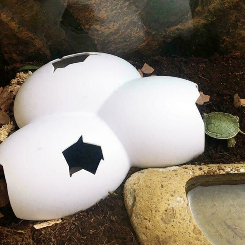 Egg Shell Hiding Cave