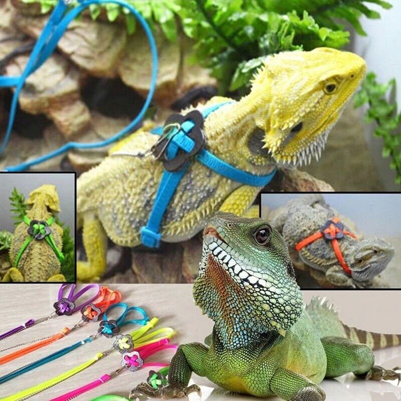 Reptile Harness with Leash