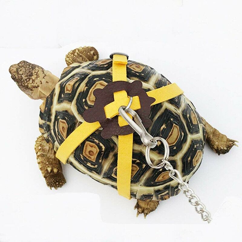 Turtle/Tortoise Harness with Leash