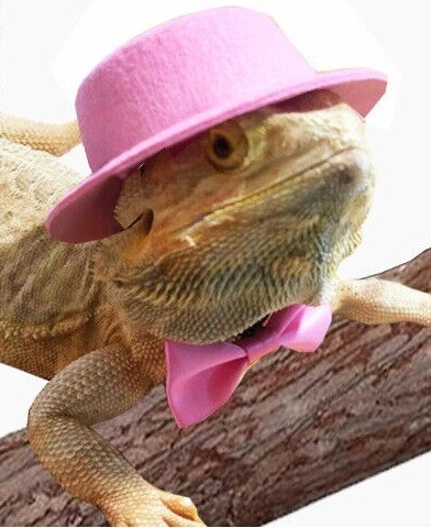 Reptile Sun Hat with Matching Tie