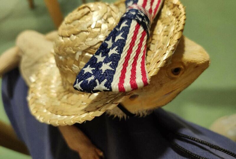 America Designer Reptile Hat
