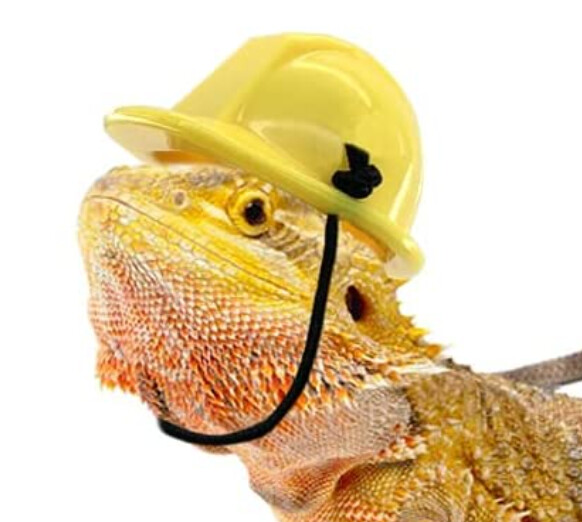 Reptile Construction Helmet