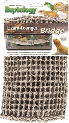 Lizard Lounger Bridge