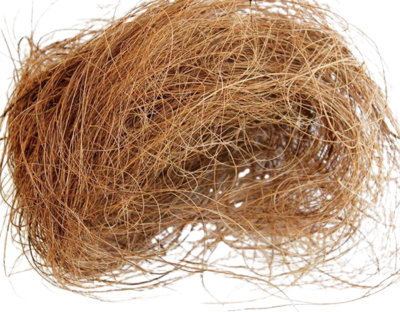 Coconut Hair