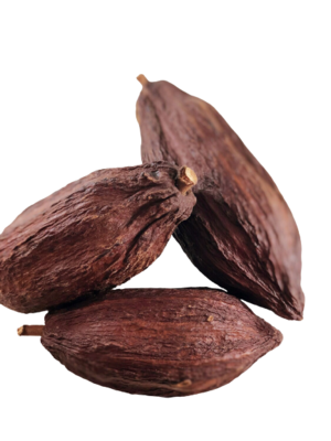 Cocoa Pod