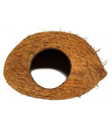 Coconut Dome - With Fiber