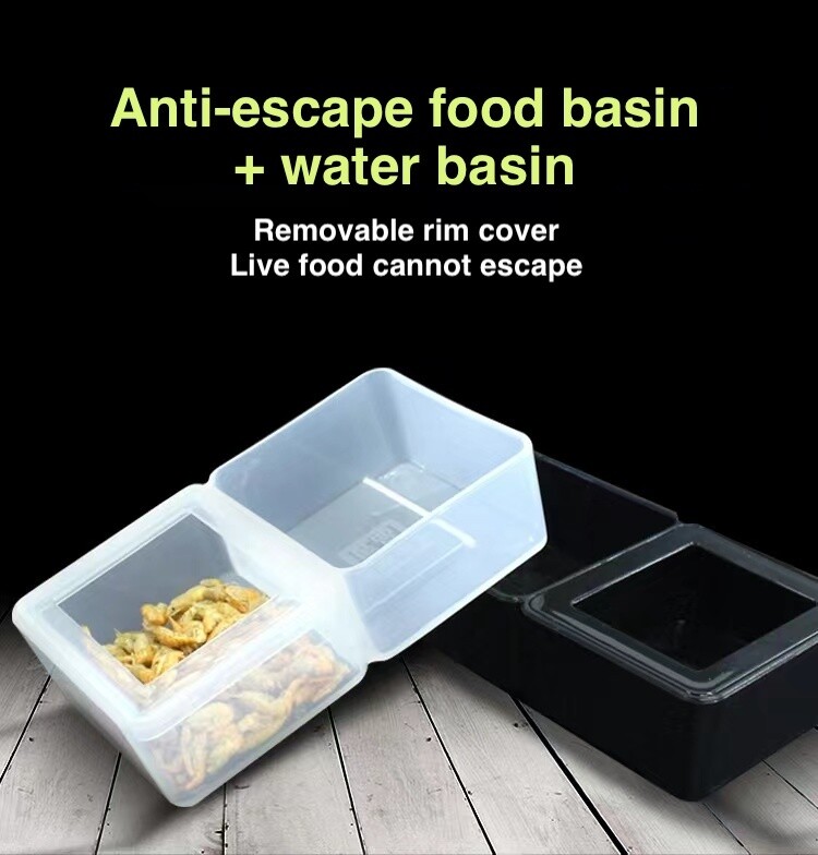 2in1 Escape-Proof Insect Feeder and Water Dish