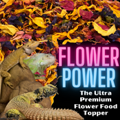 Flower Power:  Ultra Premium Flower Food Topper
