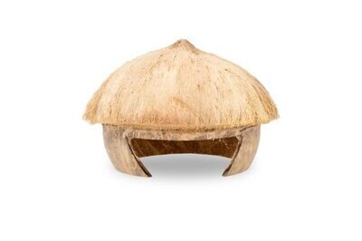 Coconut Designer Home