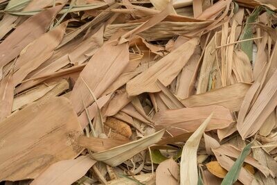 Bamboo Leaf Litter
