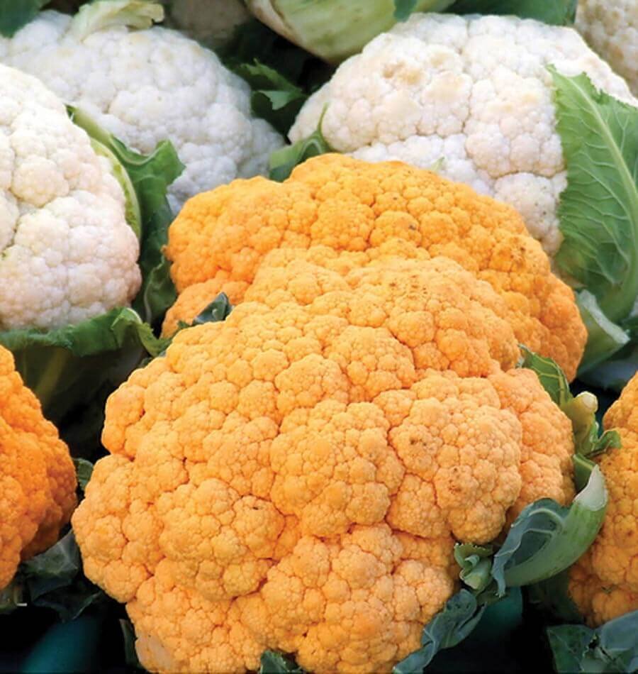 Sunset Orange Cheddar Cauliflower