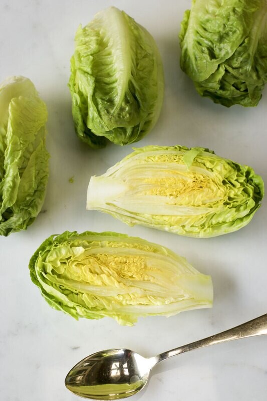 Baby Romaine Lettuce / Baby Gem Lettuce