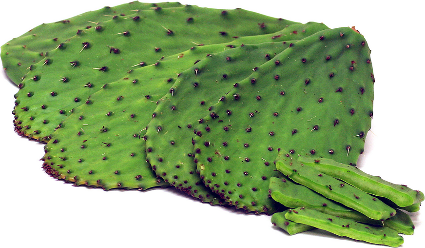 Nopal Cactus Pads - FROZEN