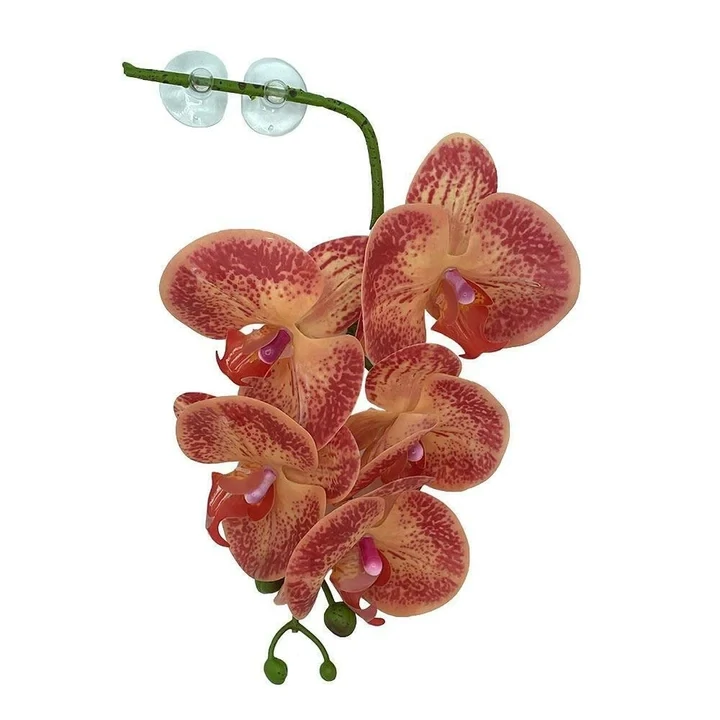 Pangea Hanging Orange and Yellow Orchid