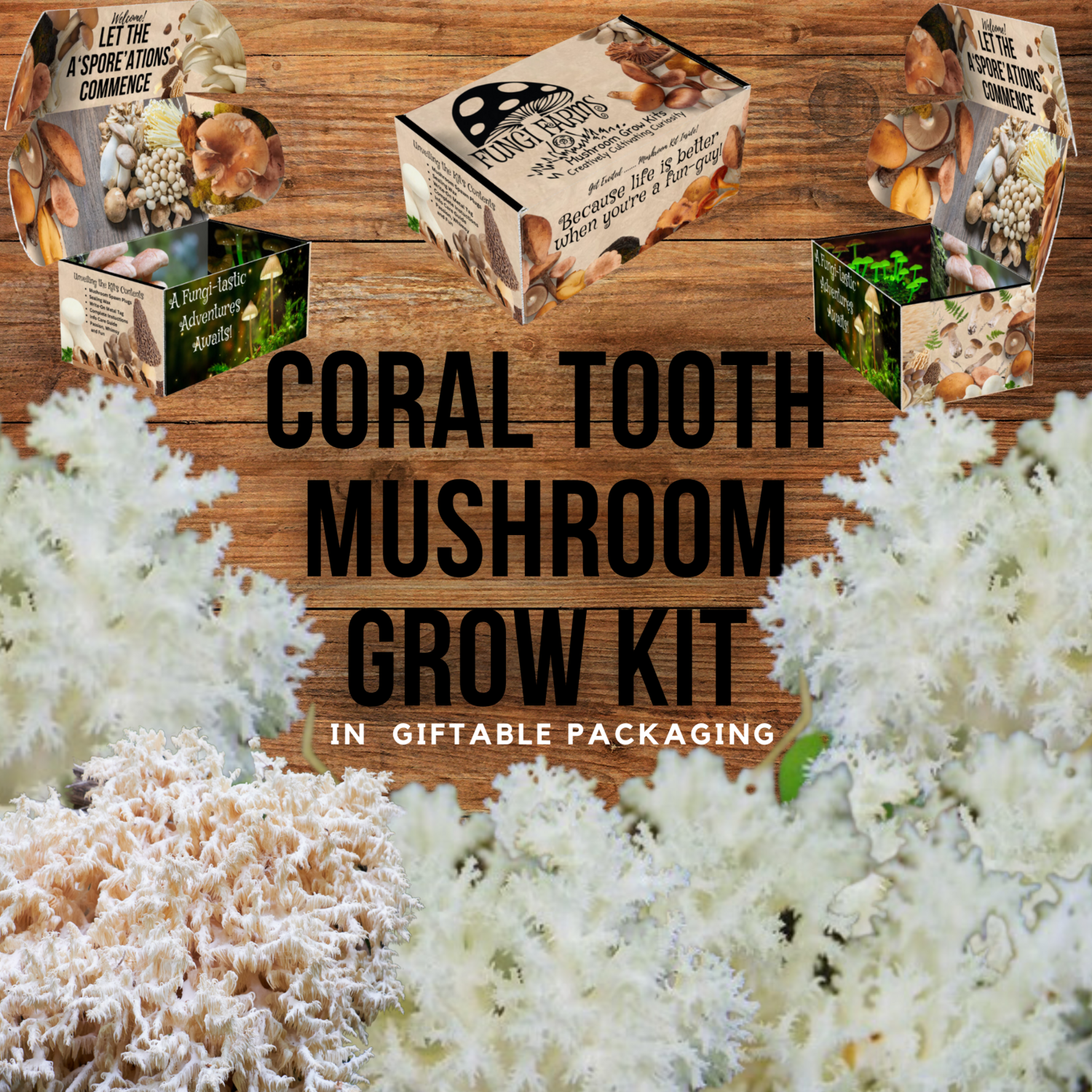 Coral Tooth Mushroom Growing Kit