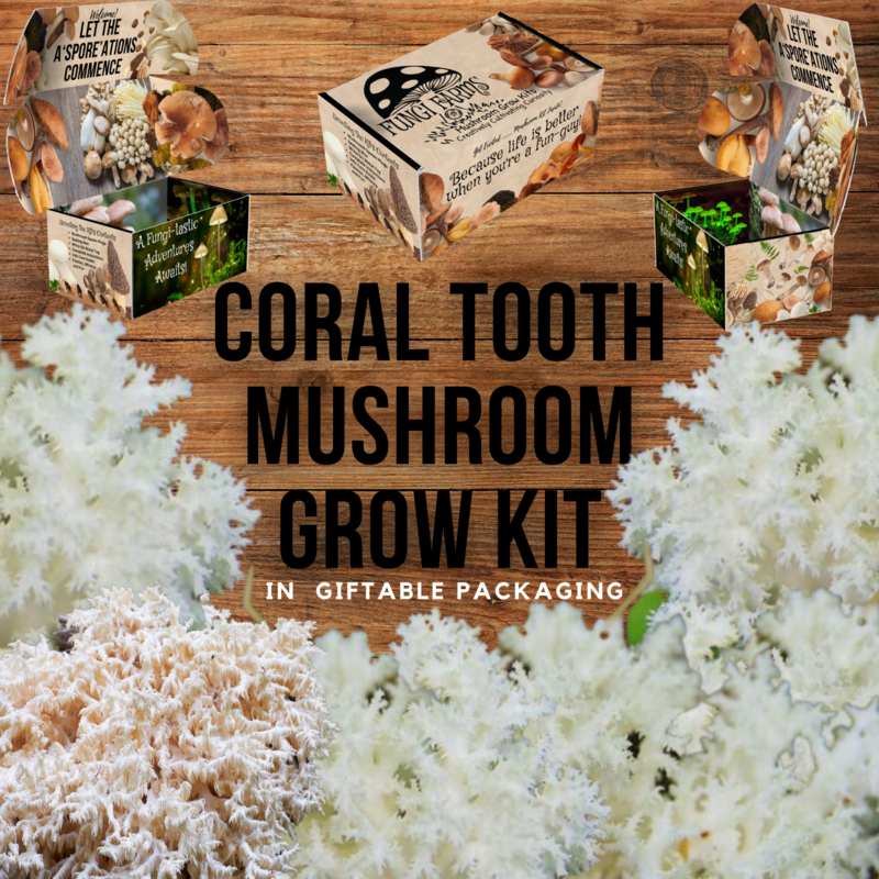 Coral Tooth Mushroom Growing Kit Coral Tooth Mushroom Growing Kit