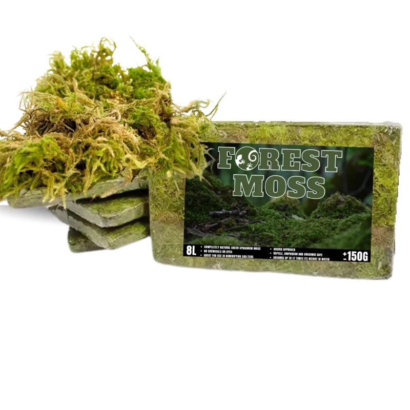 Premium Forest Moss ( 12L Compressed Brick)