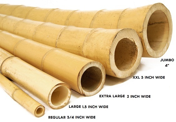 Jumbo Bamboo Tubes