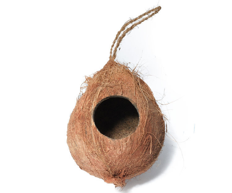 Hanging Coconut Hides