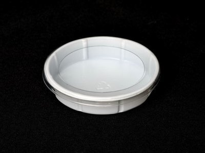 Small Worm Feeder Cups