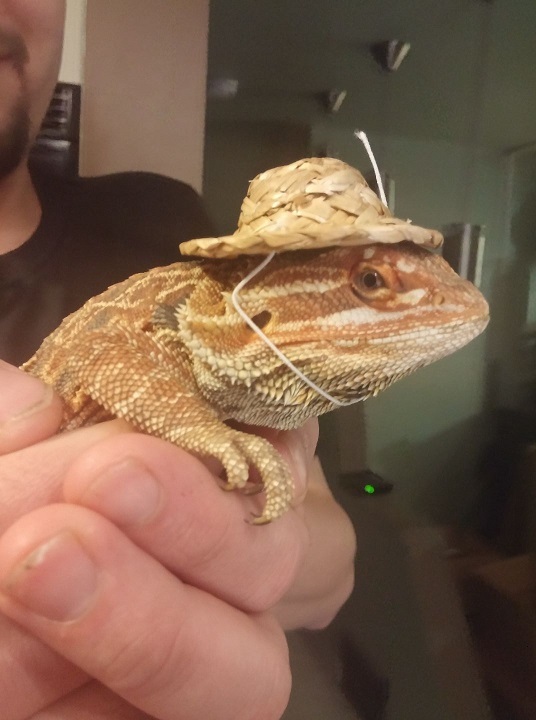 Reptile Safari Hat