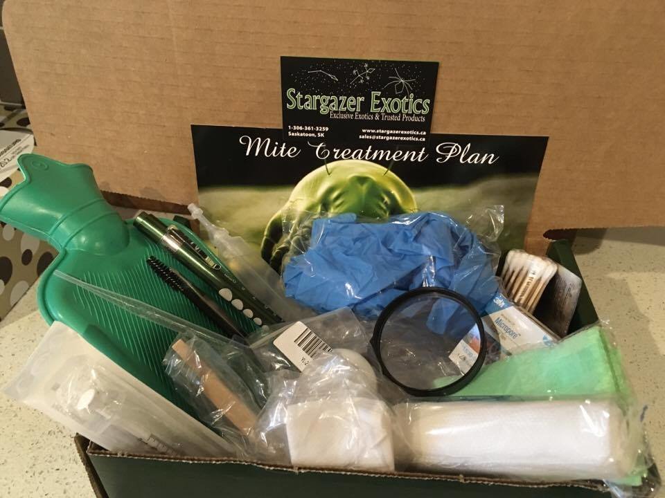 Reptile First Aid Kit