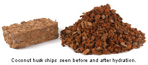Coco Husk Chips