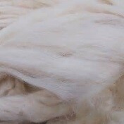 Foaming Silk