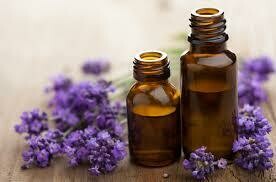Lavender 40/42 Essential Oil
