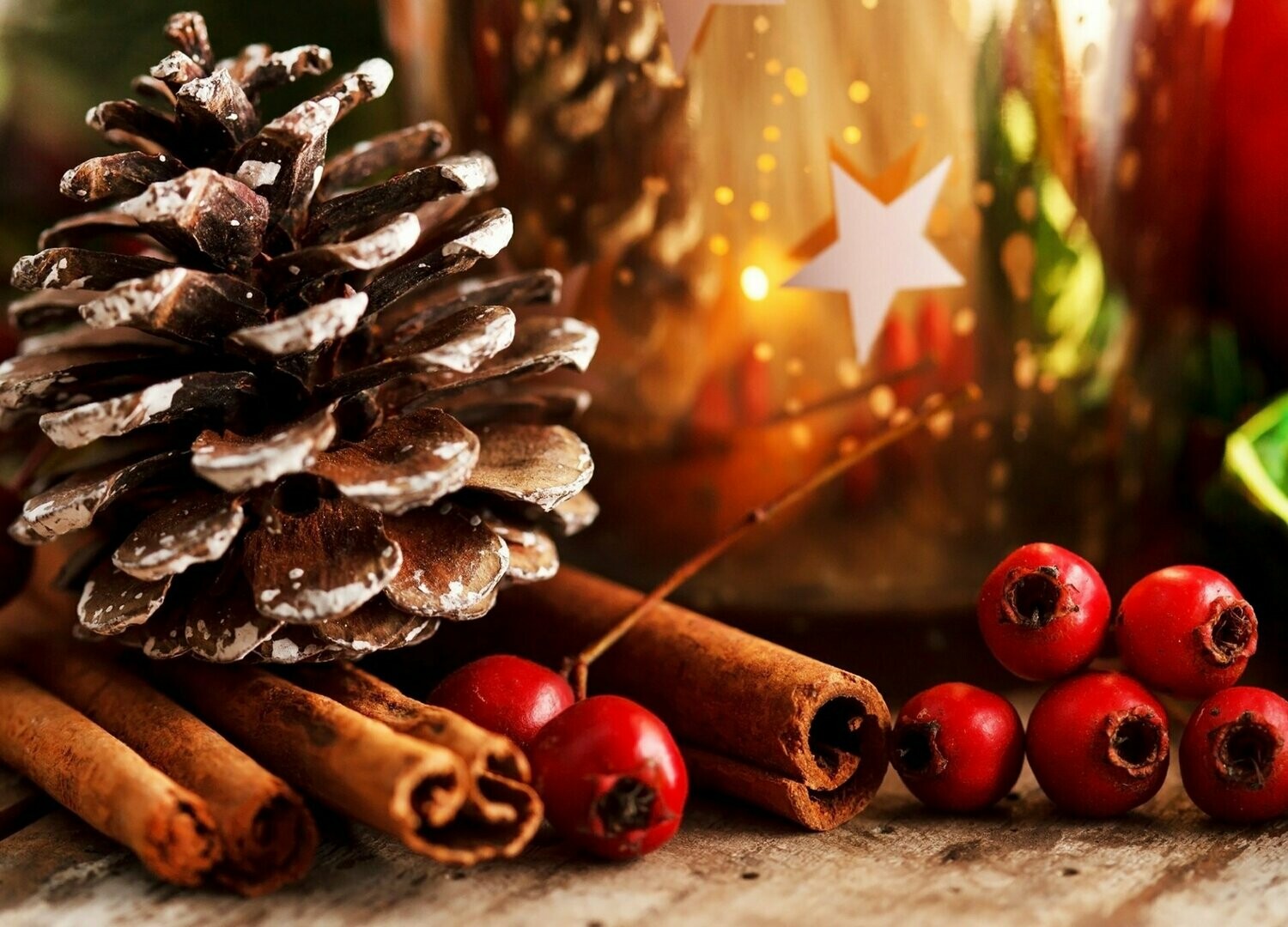 Holiday Cinnamon Fragrance Oil