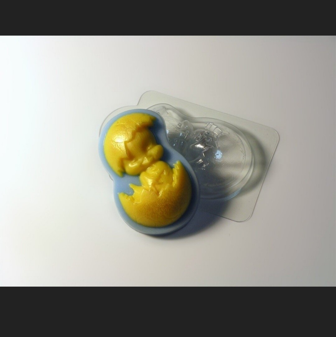 Hatching Baby Chick Mold