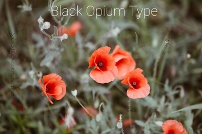 Black Opium Type Fragrance Oil