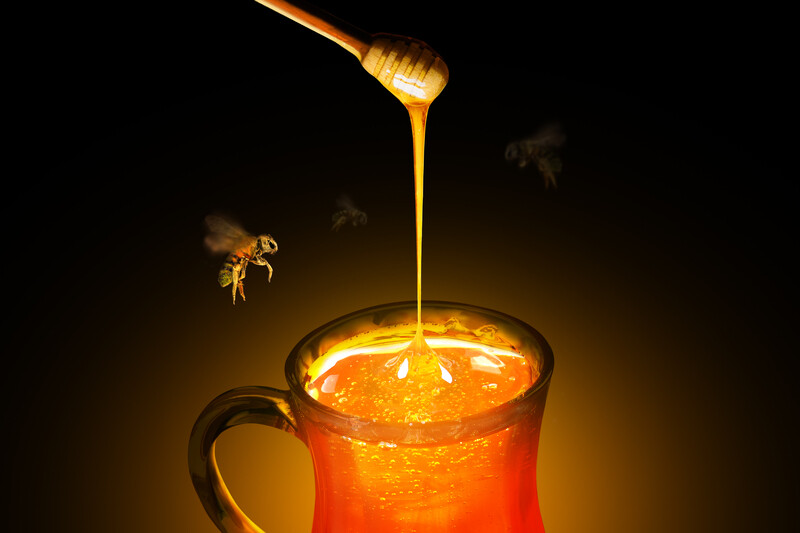 Pure Honey Fragrance Oil