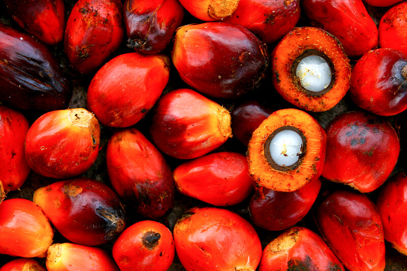 Palm Oil RBD (No-Stir, Homogenized)