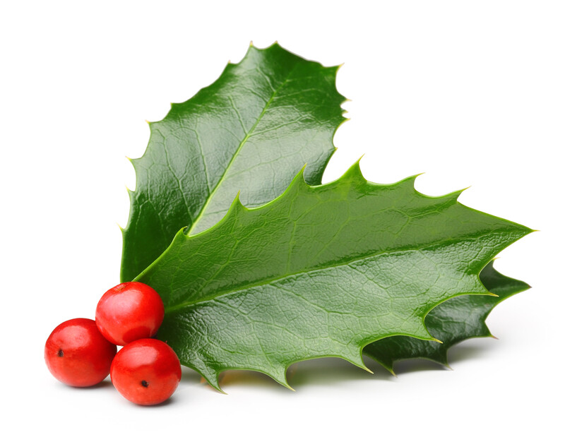 Holly Berry CS TYPE Fragrance Oil