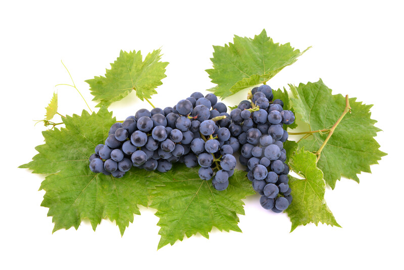 Grape Flavoring (Unsweetened)