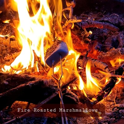 Fire Roasted Marshmallows Fragrance Oil- SES Blend!